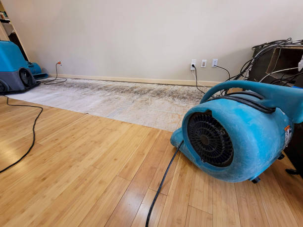 Reliable Basement Flood Cleanup contractor in Kingsville, TX by Hirex Water Damage