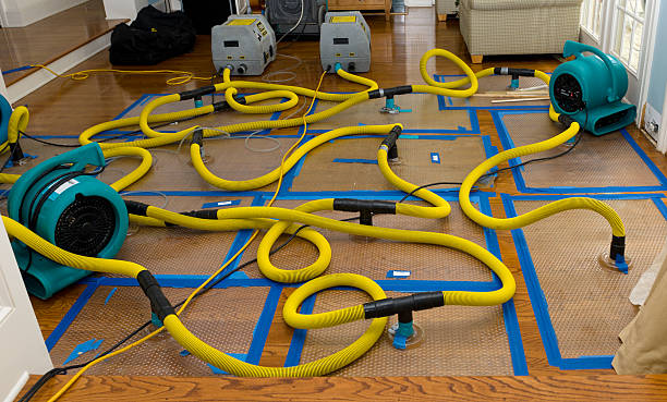 Professional Basement Flood Cleanup technician working in Kingsville, TX